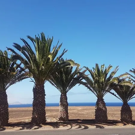 Economic Rosy Costa De Antigua